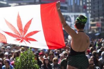 Canada legalizes sale and use of cannabis