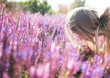 Does lavender really help with anxiety?