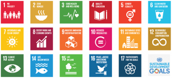Cut economic disparity to achieve SDGs by 2030