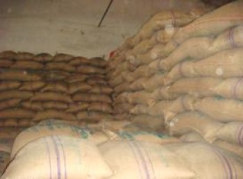 Govt to procure 6 lakh tonnes rice at Tk 36 kg