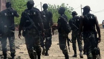 29 hurt in suicide blast in Cameroon