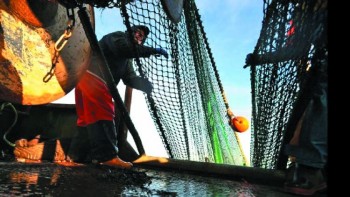 Storm over Brexit troubles Scottish fishermen