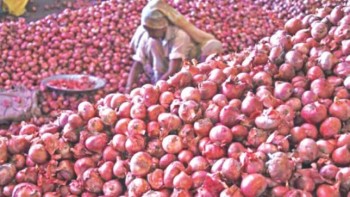Onion cheaper at Khatunganj wholesale market