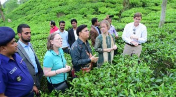 Diplomats visit Sreemangal tea gardens