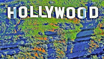 Writers Guild of America sues four  major Hollywood talent agencies