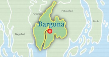 Woman, grandmother killed in Barguna house collapse