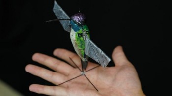 Hummingbird robot could help find victims trapped in collapsed buildings