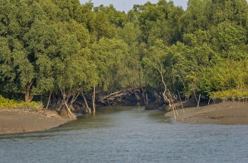Four 'pirates' killed in Sundarbans 'gunfight'