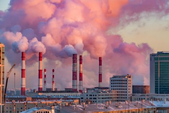 Exploring how pollution might impact the brain