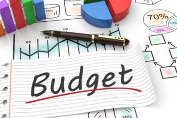 Monitoring key to proper budget execution:analysts
