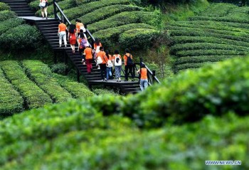 Tourists go sightseeing at tea garden in Enshi, central China's Hubei