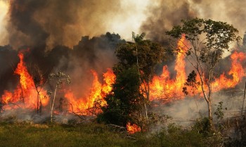 More fires now raging in central Africa than Amazon