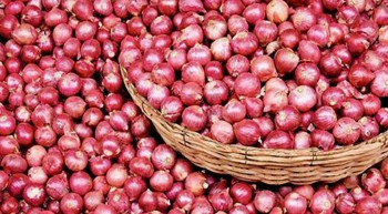 Onion prices to come down within 24 hours