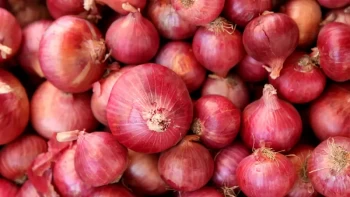 Onion still skyrocketing