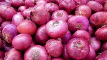 India to try to lift onion export ban