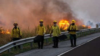 Huge wildfire advances across Brazil's wetlands