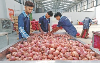 India may extend onion export ban to Feb