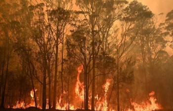 Bushfire crisis hit 75% of Australians: survey
