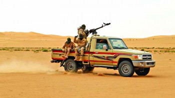Niger military operation  kills 120 'terrorists'