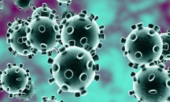 Bangladesh confirms 3 coronavirus cases: IEDCR