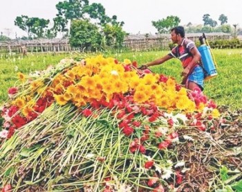 Flower industry wilting