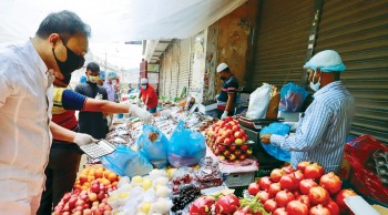 A glut of fresh fruits organized at the port