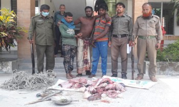 3 poachers held, 22 deer rescued in Bagerhat