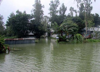 1,059 hectares of lands flooded in Sirajganj