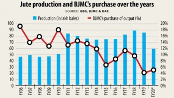 Jute farmers begin harvest with wind out of their sails after BJMC’s shuttering