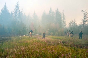 Almost 300 wildfires burn in Siberia amid record heat
