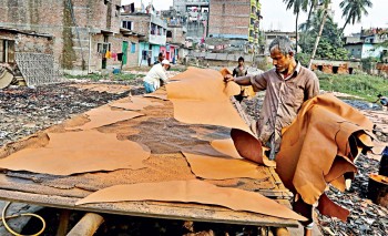 Govt has think of a solution to the hurdle to higher leather exports