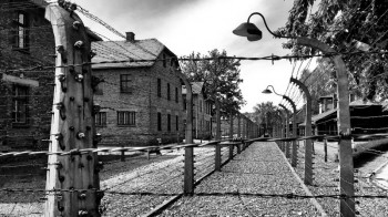 TikTok users playing Holocaust victims trivialising history, Auschwitz museum says