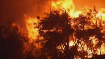 Death toll rises due to fires rage on US West Coast