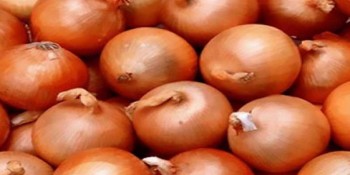 Govt to import onion from Turkey, Egypt