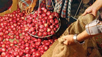Onion prices drop in Ctg