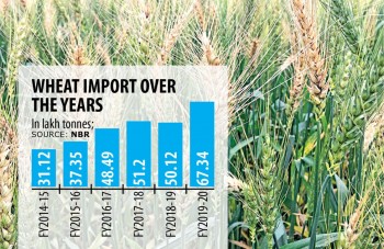 Wheat imports rise 116pc in six years