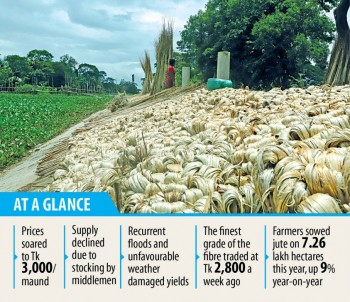 Raw jute prices soar to record high