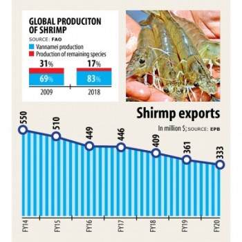 Shrimp exporters to take pleasure from edge as vannamei farming gets nod