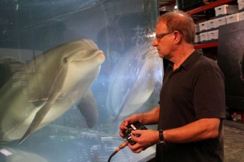 The robot dolphin that could replace captive animals at theme parks 1 day