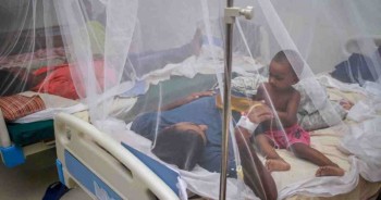 Dengue cases spike in Bangladesh