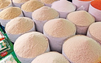 Govt to import 50,000 tonnes of rice