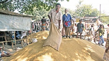 Govt floats tender to import 50,000 tonnes rice
