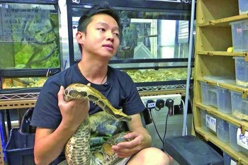 Zero snake soup for Hong Kong's  young snake catcher