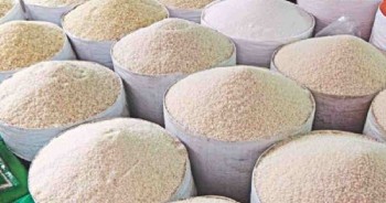 Cabinet human body approves import of 2,50,000MT rice