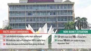 Non-banking institutions’ dividend capped at 30pc