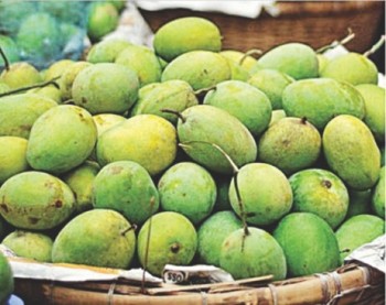 Unique train for mango in Chapainawabganj-Dhaka route likely from May 25