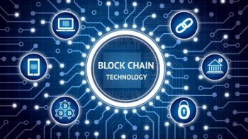 Local IT companies offering blockchain solutions overseas, Palak says