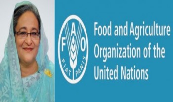 FAO lauds Hasina's leadership found in attaining food security found in Bangladesh