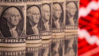 Dollar holds near multi-month high after Fed's hawkish tilt