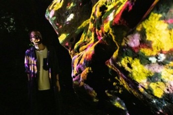 Saga forest lights up in digital art show